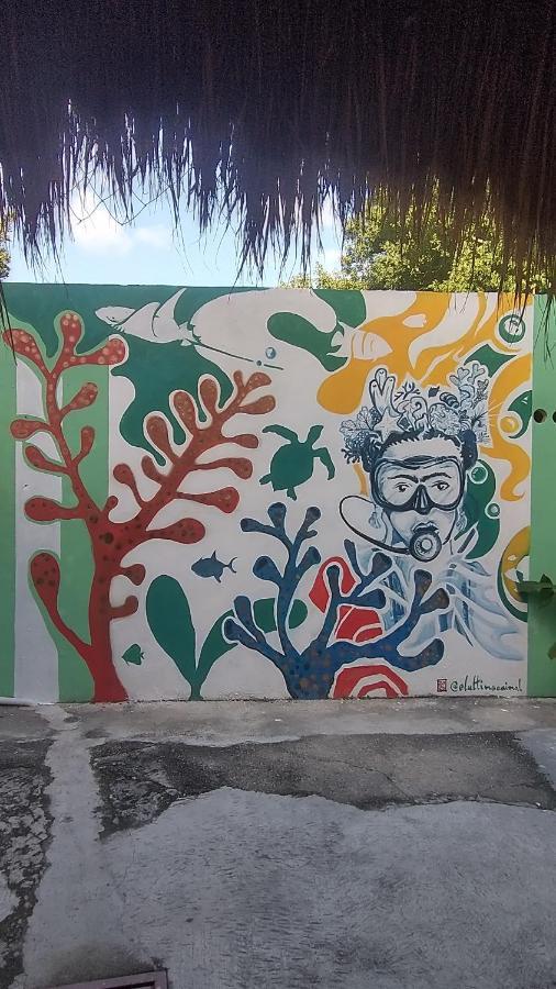 Blue Magic Hostel Cozumel Eksteriør billede