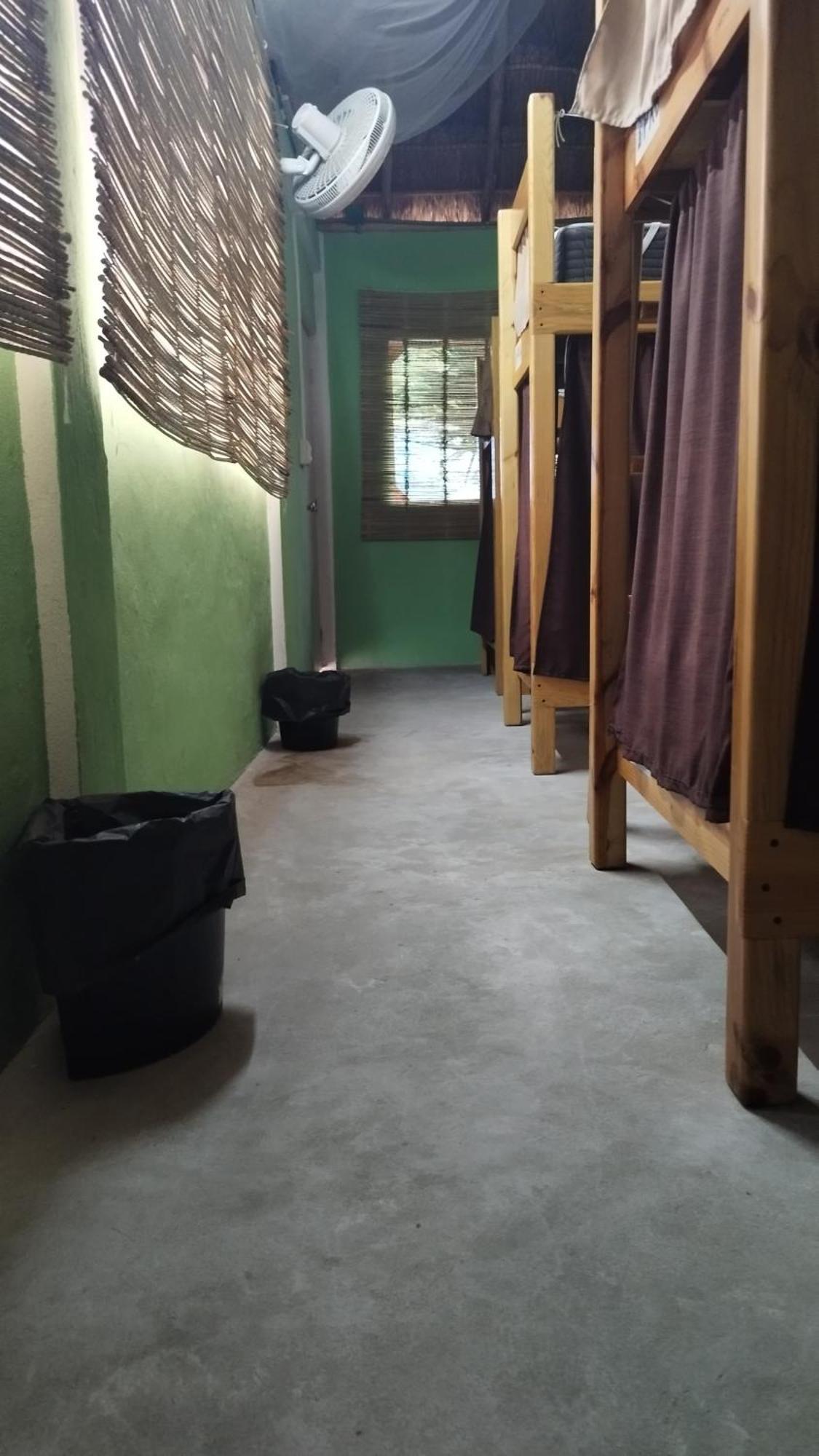 Blue Magic Hostel Cozumel Eksteriør billede