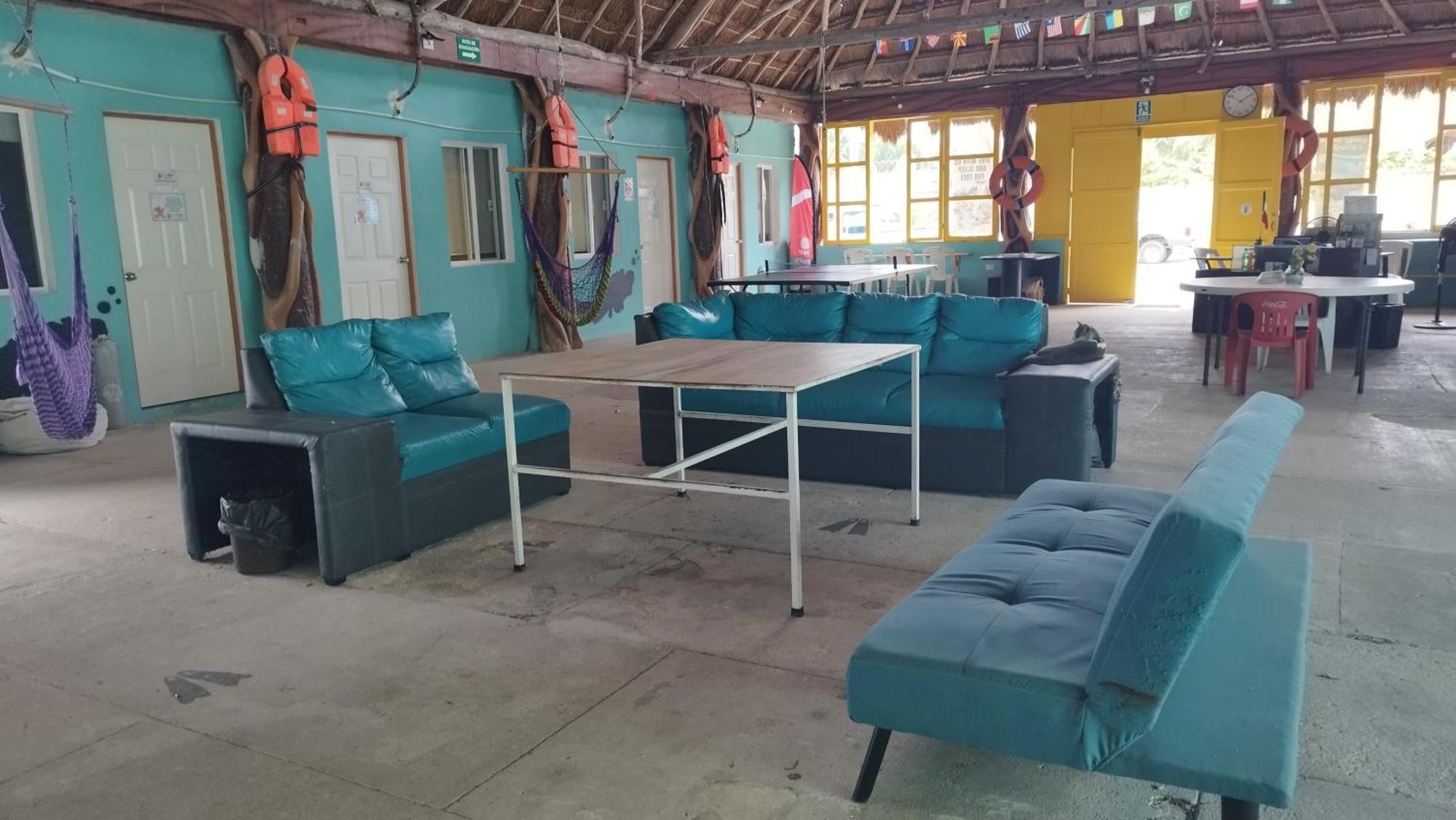 Blue Magic Hostel Cozumel Eksteriør billede
